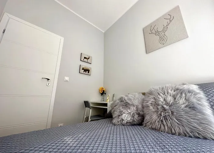 Mmrent Wild Room